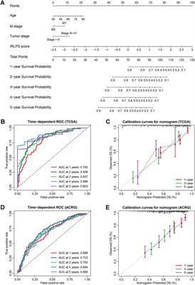 Comprehensive Analysis of an Individualized Immune-Related lncRNA Pair Signature in Gastric Cancer